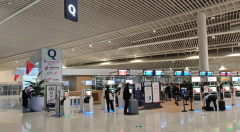 阳光保险代理有限公司北京分公司：深耕专业出行保险，护航安心旅程